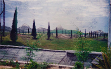 Austin Custom Made Murals